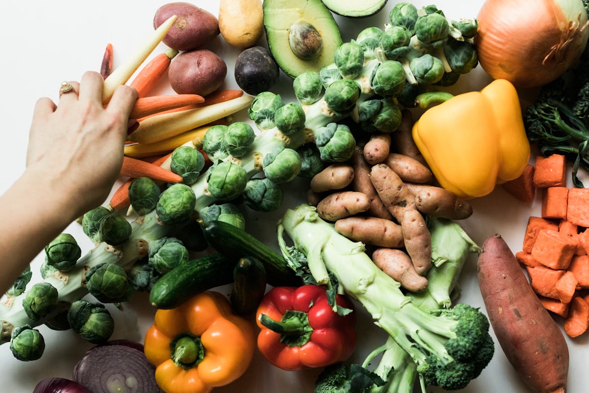 Brain nutrition research article